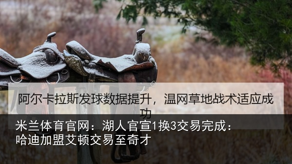 米兰体育官网:湖人相关情况迪加相关情况