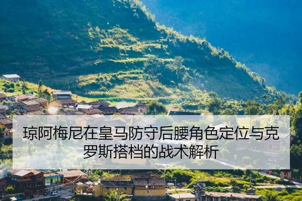 琼阿梅尼在皇马防守后腰角色定位与克罗斯搭档的战术解析